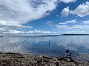 Gå langs havet på Øhavsstien