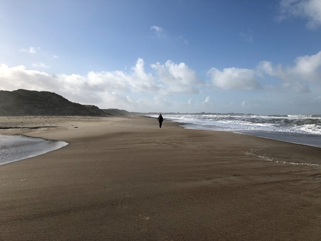 En vandrer ved havet i Thy Nationalpark